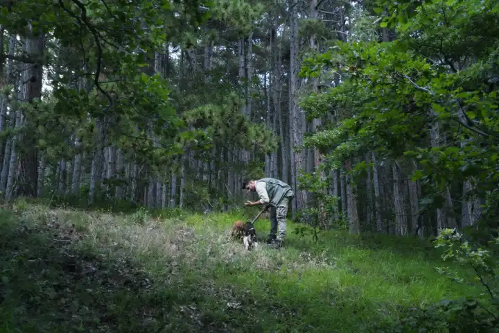 Truffle Hunting Around The World Culinary Travel Ker & Downey HERO