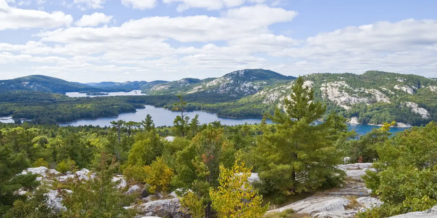 Ireland-Killarney-National-Park