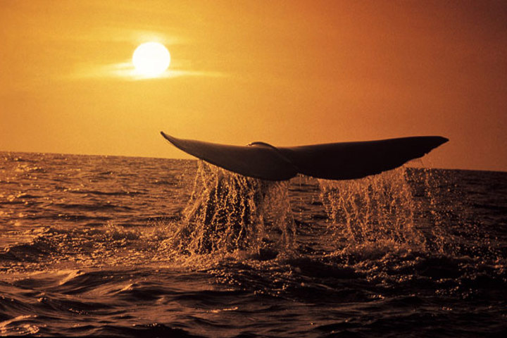 Best Places to Visit in September Luxury Travel Ker Downey South Africa