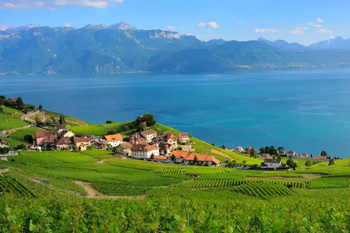 Lausanne Travel Guide Luxury Switzerland Travel Ker & Downey Lausanne Landscape