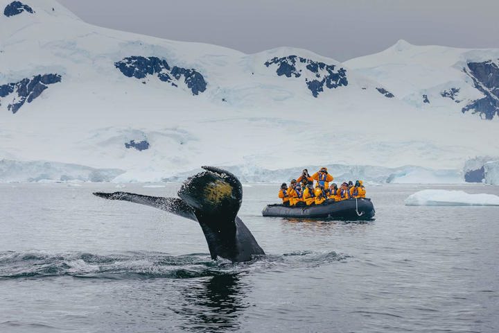 Classic Antarctica Cruise