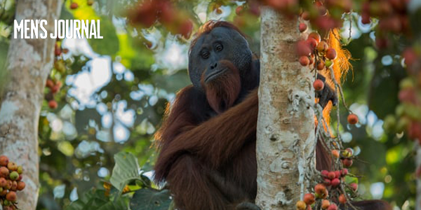 Men's Journal - Protect Safari